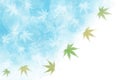 Japanese green maple leaf abstract on summer blue watercolor paint background Royalty Free Stock Photo