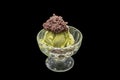 Green tea Ice cream topping with red bean put in the glass cup, die cut in black background Royalty Free Stock Photo