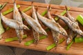 Japanese grilled capelin