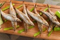 Japanese grilled capelin Royalty Free Stock Photo