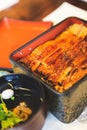 Japanese grilled eel with rice Royalty Free Stock Photo