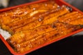 Japanese Grilled Eels on Rice