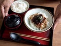 Japanese grilled Saba Mackerel on rice