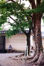 Japanese guy sit under tree in Nittai-ji temple, Nagoya - Japan