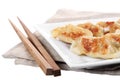 Japanese gyoza dish isolated