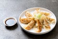 Japanese gyoza or dumplings snack