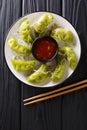 Japanese gyoza with matcha served with sauce and microgreen close-up. Vertical top view