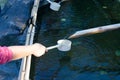 Japanese hand cleansing ritual Royalty Free Stock Photo