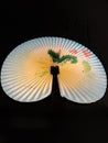 Japanese Hand Fan