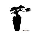 Bonsai tree, silhouette of bonsai, Detailed image, Vector illustration,