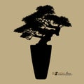 Bonsai tree, silhouette of bonsai, Detailed image, Vector illustration, Royalty Free Stock Photo