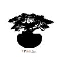 Bonsai tree, silhouette of bonsai, Detailed image, Vector illustration,