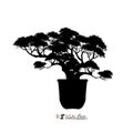 Bonsai tree, silhouette of bonsai, Detailed image, Vector illustration,