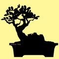 Bonsai tree, silhouette of bonsai, Detailed image, Vector illustration.