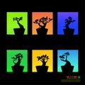 Set of Bonsai tree, silhouette of bonsai, Detailed image, Vector illustration. Royalty Free Stock Photo