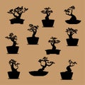 Set of Bonsai tree, silhouette of bonsai, Detailed image, Vector illustration. Royalty Free Stock Photo