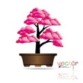 Colorful of Bonsai tree, silhouette of bonsai, Detailed image, Vector illustration. Royalty Free Stock Photo