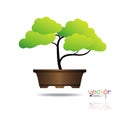 Colorful of Bonsai tree, silhouette of bonsai, Detailed image, Vector illustration. Royalty Free Stock Photo