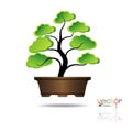 Colorful of Bonsai tree, silhouette of bonsai, Detailed image, Vector illustration. Royalty Free Stock Photo