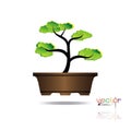 Colorful of Bonsai tree, silhouette of bonsai, Detailed image, Vector illustration. Royalty Free Stock Photo