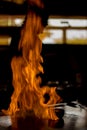 Japanese Hibachi or Teppanyaki Fire Cooking