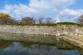 Japanese Himeiji Castle and canal Royalty Free Stock Photo