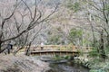 Japanese historical bridge