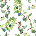 Japanese Honeysuckle and wild plum leaves and ripe berries close up branch, hand painted watercolor illustration, seamless pattern