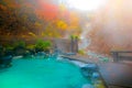 Japanese Hot Springs Onsen Natural Bath Surrounded by red-yellow leaves. In fall leaves fall in Japan