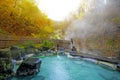 Japanese Hot Springs Onsen Natural Bath Surrounded by red-yellow leaves. In fall leaves fall in Japan.Waterfall among many foliage