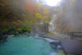 Japanese Hot Springs Onsen Natural Bath Surrounded by red-yellow leaves. In fall leaves fall in Yamagata. Japan Royalty Free Stock Photo