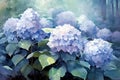 Japanese Hydrangea rainy season in summer. After rain. A garden full of blooming Ajisai in the middle of mountain