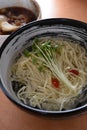 Japanese ice Ramen Royalty Free Stock Photo