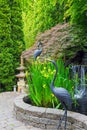 Japanese Inspired Garden with Pond springtime