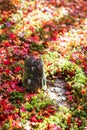 Japanese Jizo sculpture doll with falling Red Maple leaf in Japanese Garden at Enkoji Temple, Kyoto, Japan. Landmark and famous in