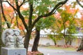 Japanese Jizo Stone statue with maple leaf at Autumn in Eikando Temple. maple momiji season image.