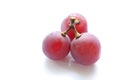 Japanese juicy grape isolated Royalty Free Stock Photo