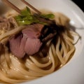 japanese kake udon noodles tasty, udon noodles food