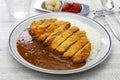 Japanese katsu curry Royalty Free Stock Photo