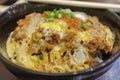 Japanese Katsudon