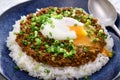 Japanese keema curry Royalty Free Stock Photo
