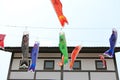 Japanese koi carp flag decoration blow in the wind. Carp streamer