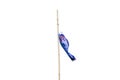 Japanese koi carp flag decoration blow in the wind.koinobori japanese fish kite isolated on white background Royalty Free Stock Photo