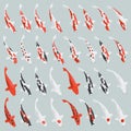 Japanese koi carp set. Vector. Royalty Free Stock Photo