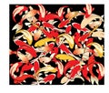 Red Koi carps on black background