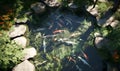 Japanese koi fish pond view from above, ai generative Royalty Free Stock Photo