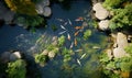 Japanese koi fish pond view from above, ai generative Royalty Free Stock Photo