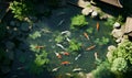 Japanese koi fish pond view from above, ai generative Royalty Free Stock Photo