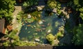 Japanese koi fish pond view from above, ai generative Royalty Free Stock Photo