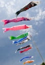 Japanese koi nobori blowing in the wind Royalty Free Stock Photo